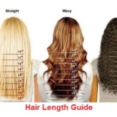 Hair Length Guide